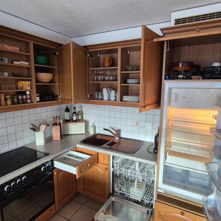 Summit & Spring Studio - Leukerbad - Apartamento de 1 dormitorio - 13