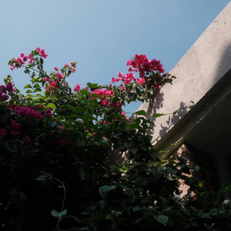 NOK Luxury Colonial Villa 6BR with Pool Staff & Breakfast at Getsemani - Villa - 53