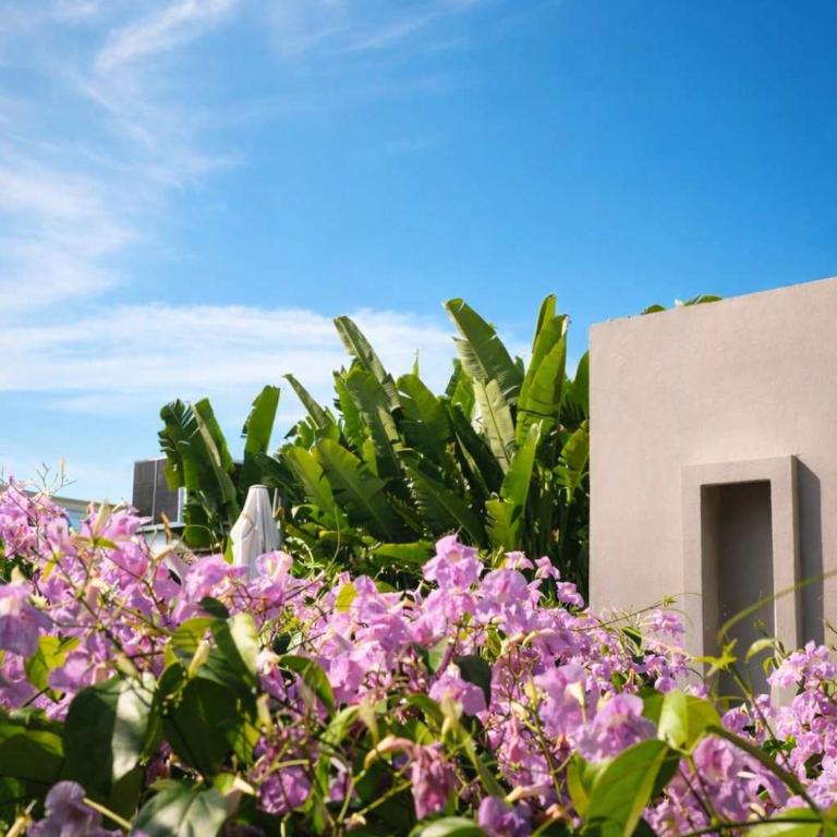 NOK Luxury Colonial Villa 6BR with Pool Staff & Breakfast at Getsemani - Villa - 78