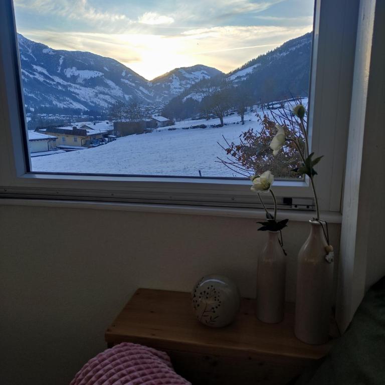 Ferienwohnung Kerschbaumer - Apartment mit 2 Schlafzimmern mit Balkon und Terrasse - 35