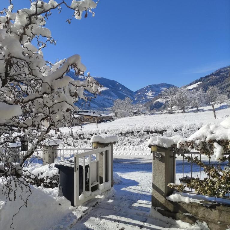 Ferienwohnung Kerschbaumer - Apartment mit 2 Schlafzimmern mit Balkon und Terrasse - 59