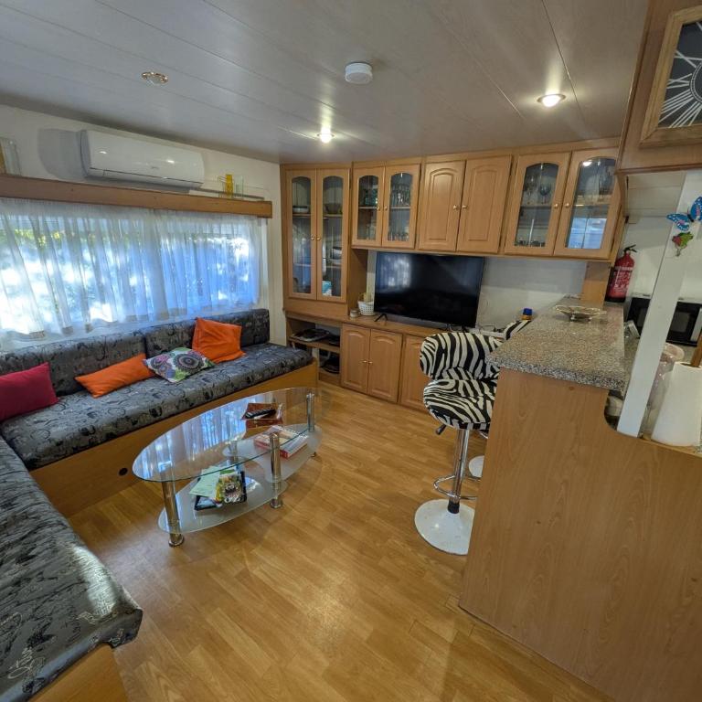 Mobil-Home La Pointe 5 pers camping 4 étoiles - Mobile Home - 1