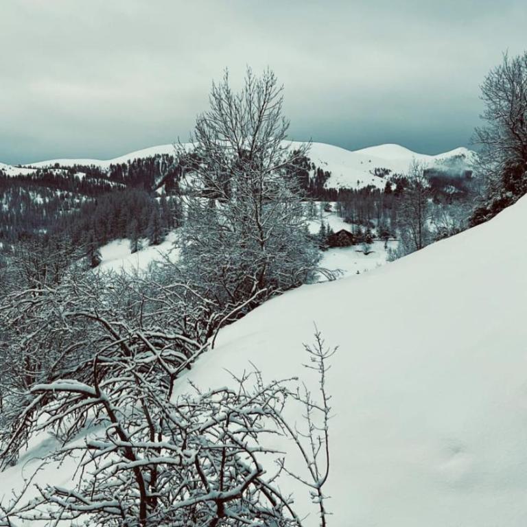 Grange pour 6 personnes avec studio indépendant - Chalet 2 Chambres - 30