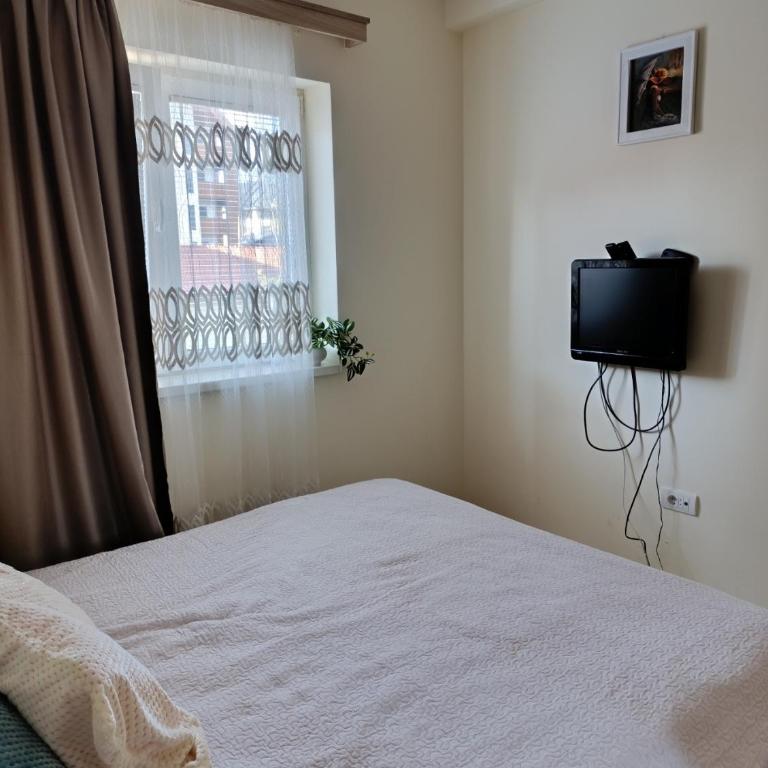 Aurora I&N Apartmani Zlatibor - One-Bedroom Apartment - 8