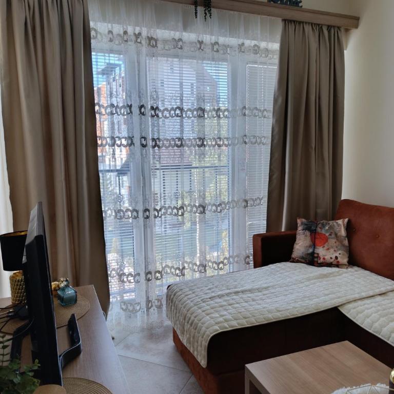 Aurora I&N Apartmani Zlatibor - One-Bedroom Apartment - 5