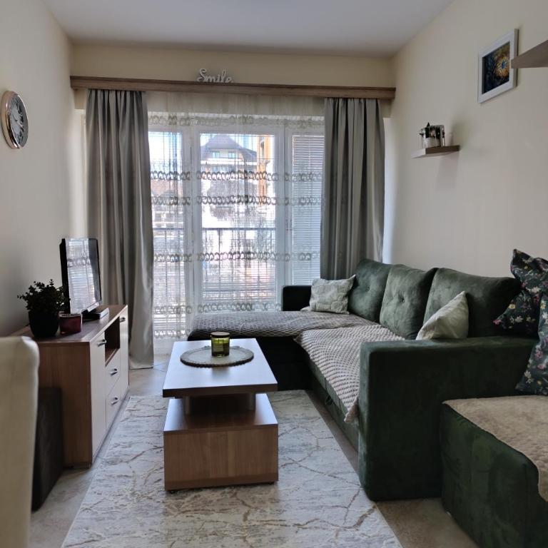 Aurora I&N Apartmani Zlatibor - One-Bedroom Apartment - 3