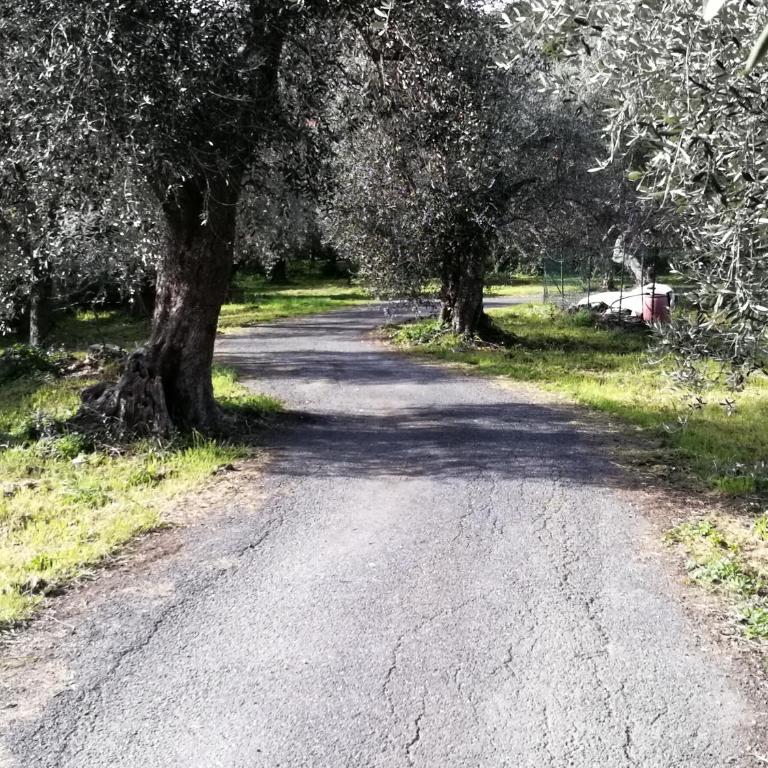 Antico Mulino - Appartamento con 3 Camere da Letto - 37