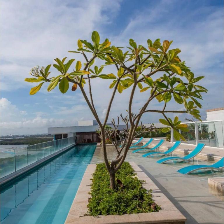 Cartagena Cielo Mar Apartment Steps from the Beach - Apartment - 64