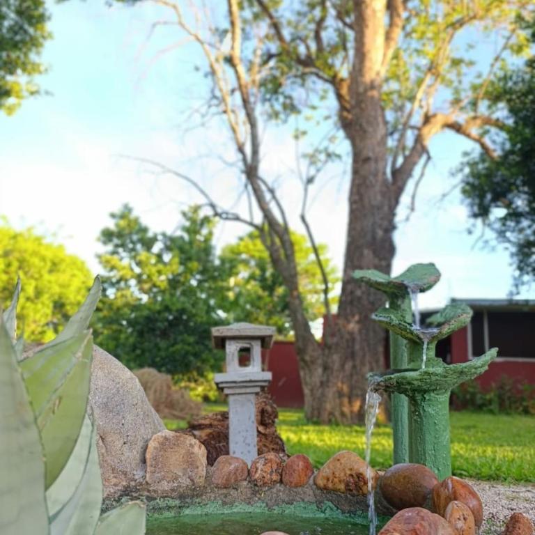 Colibrí House Zen Garden & Pool Retreat near Asunción, Nemby - One-Bedroom Apartment - 19