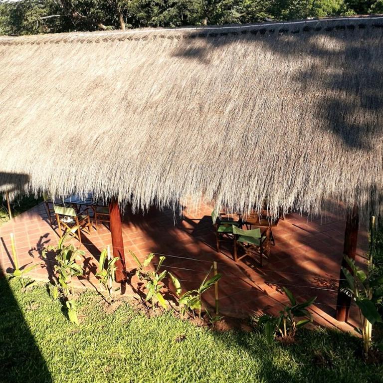 Colibrí House Zen Garden & Pool Retreat near Asunción, Nemby - One-Bedroom Apartment - 45