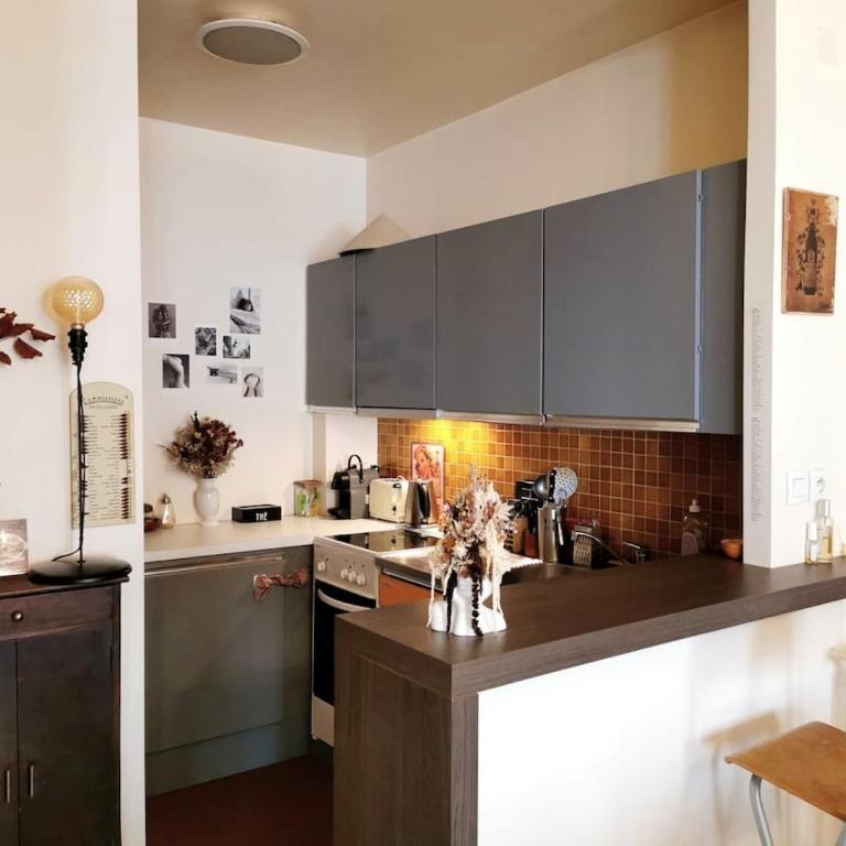 A large artistic-style studio in Panthéon - One-Bedroom Apartment - 7