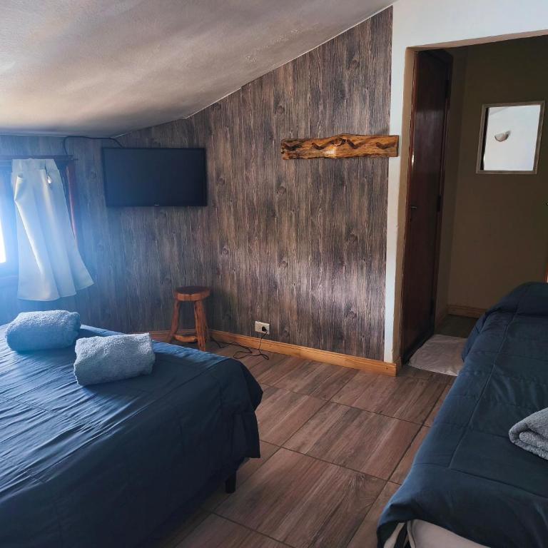 B&B Copahue - Twin Room with Private Bathroom - 2