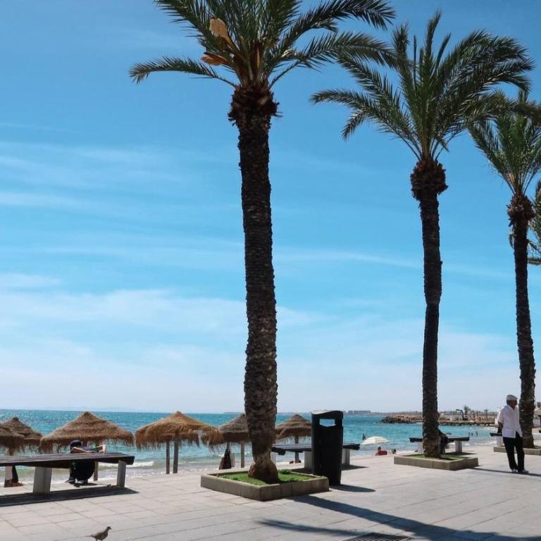 Torreviejar with garage and pool - Apartamento - 21