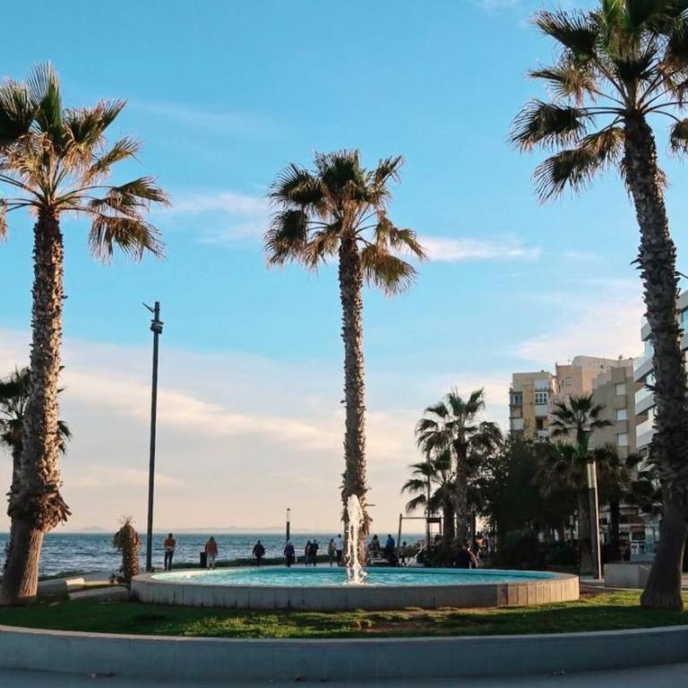 Torreviejar with garage and pool - Apartamento - 24
