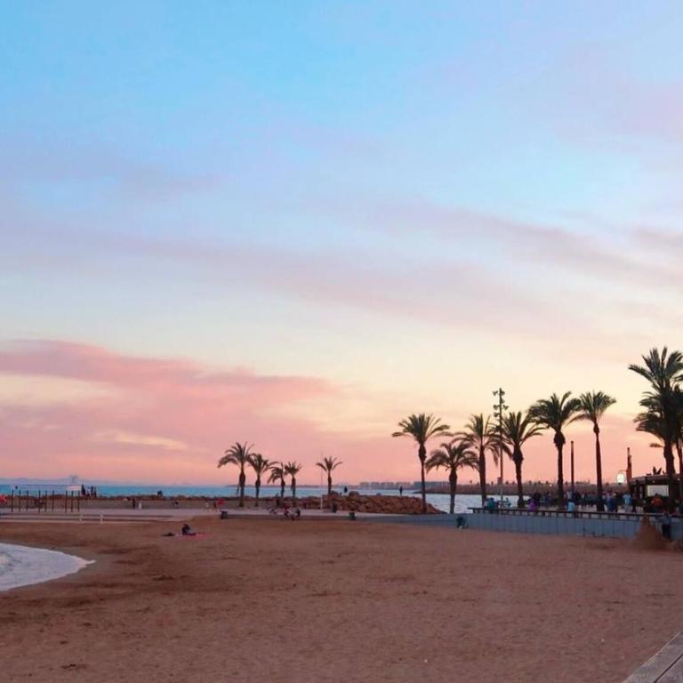Torreviejar with garage and pool - Apartamento - 26