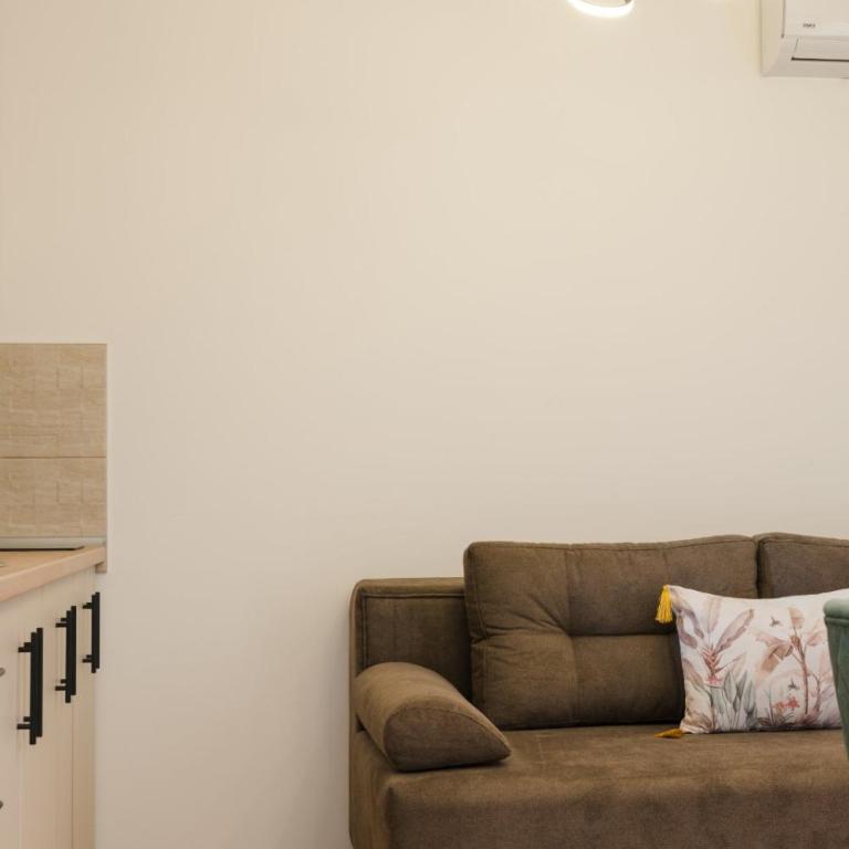 Apartman Stevanovic - Apartman s 1 Spavaćom Sobom i Terasom - 9