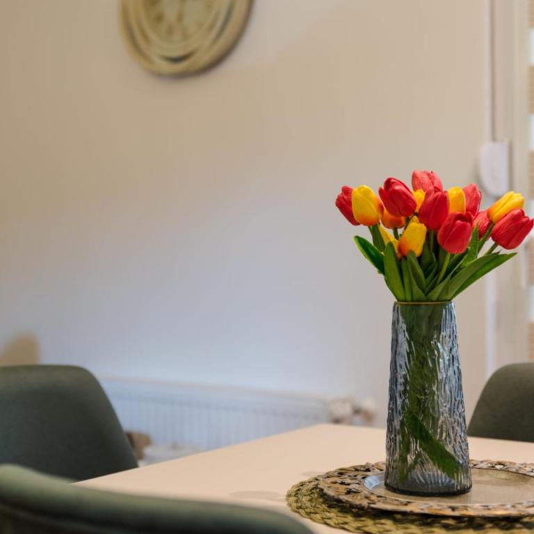 Apartman Stevanovic - Apartman s 1 Spavaćom Sobom i Terasom - 10