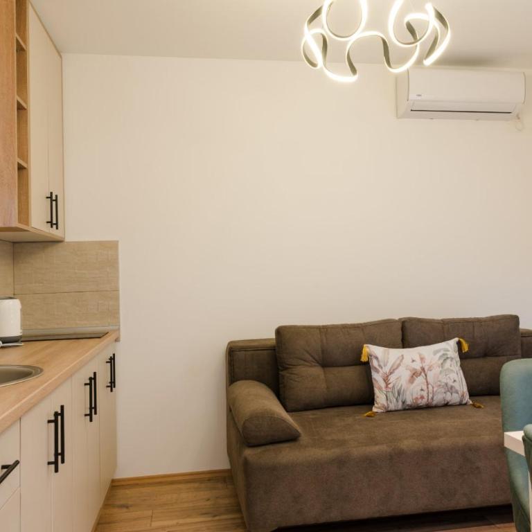Apartman Stevanovic - Apartman s 1 Spavaćom Sobom i Terasom - 15