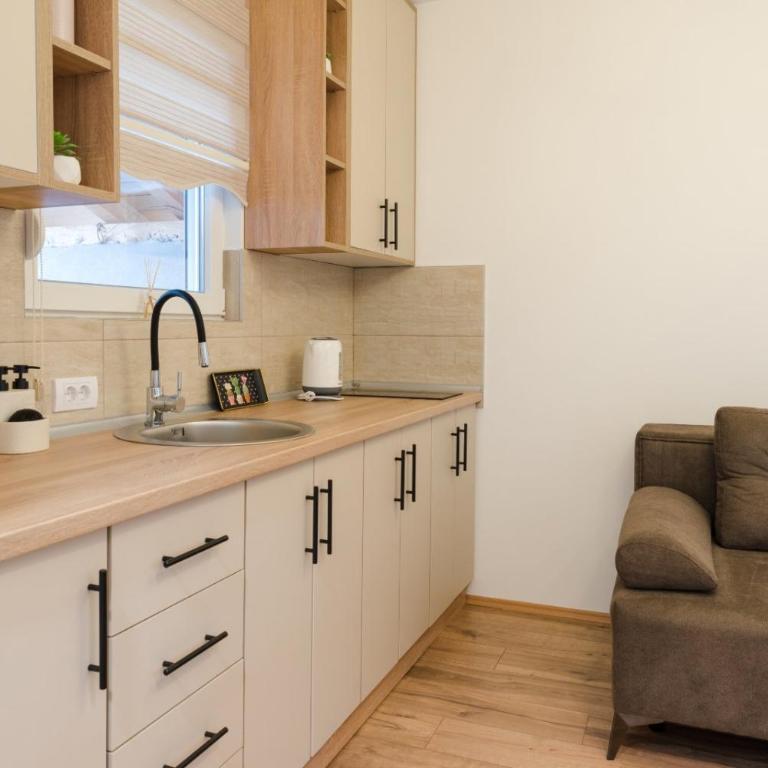 Apartman Stevanovic - Apartman s 1 Spavaćom Sobom i Terasom - 13