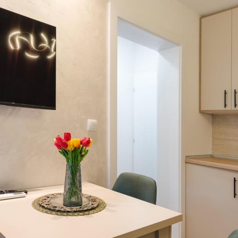Apartman Stevanovic - Apartman s 1 Spavaćom Sobom i Terasom - 17
