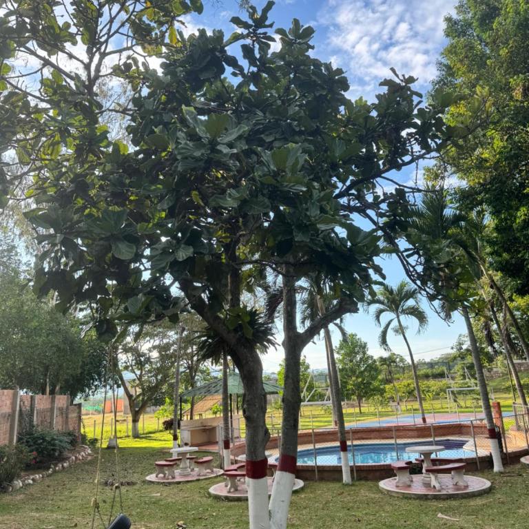 Hacienda Torcoroma - One-Bedroom House - 7