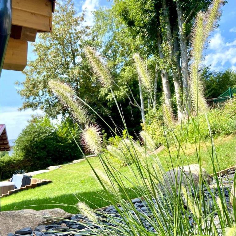 Chalet Les Roitelets 5 étoiles avec jacuzzi sauna - Chalet 4 Chambres - 31