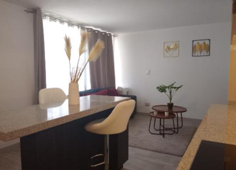 2H2B I Movistar Arena y Parque Ohiggins I Estacionamiento - Two-Bedroom Apartment - 9