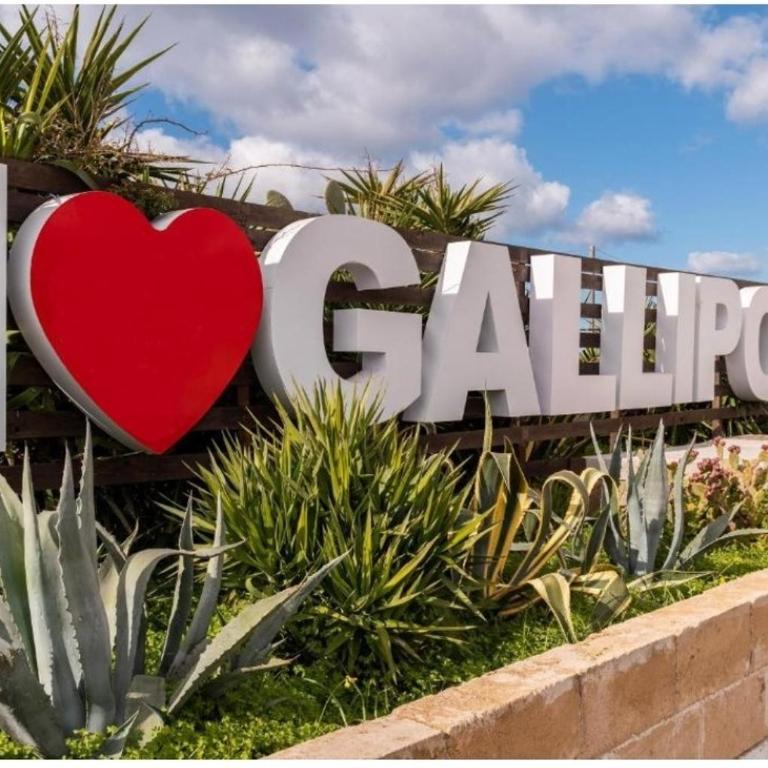 Marine Place Gallipoli - One-Bedroom Apartment - 33