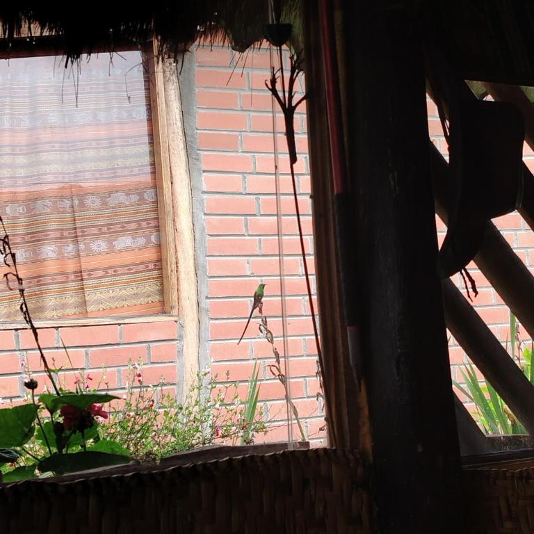 Wasi Andina Lodge - Triple Room - 1