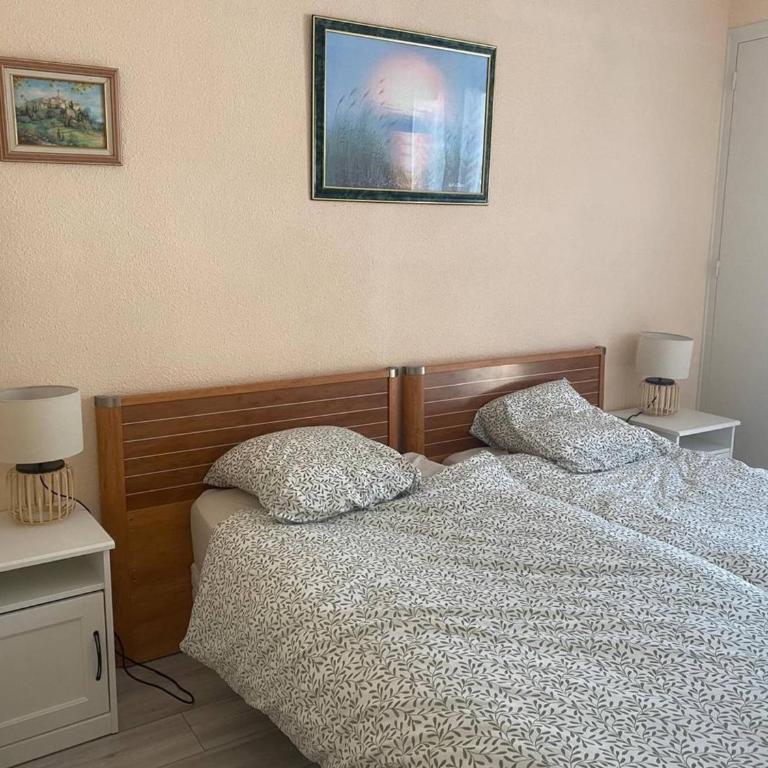 F2 avec parking, terrasse & wifi à Amélie-les-Bains, animaux acceptés - Appartamento con 1 Camera da Letto - 13