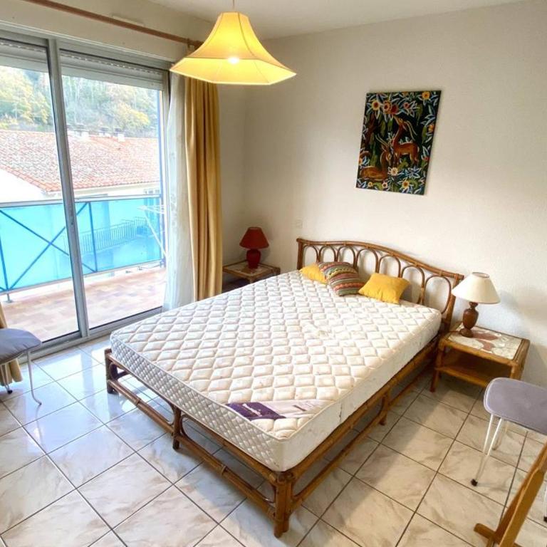 Appartement F2 confortable avec balcon près des Thermes d'Amélie-les-Bains - Appartamento con 1 Camera da Letto - 10