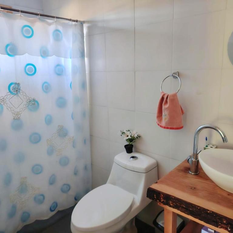 Refugio Bosque Sur - Double Room with Private Bathroom - 3