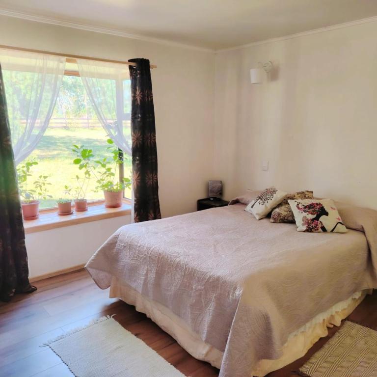 Refugio Bosque Sur - Double Room with Private Bathroom - 2