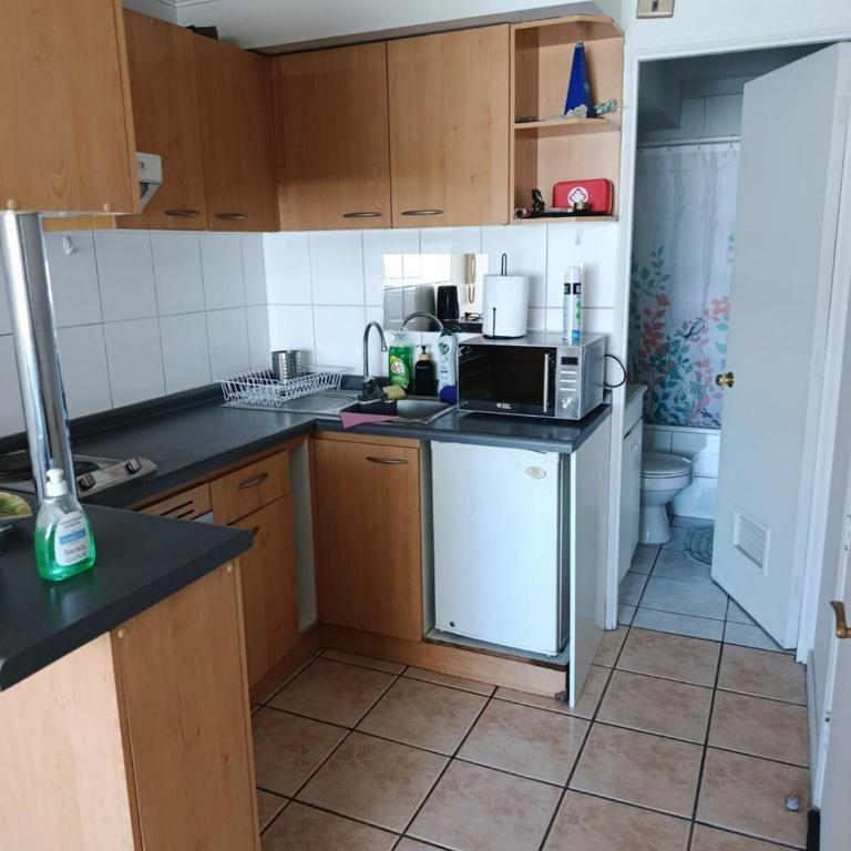Central Departamento para familia friends y amigos - One-Bedroom Apartment - 18