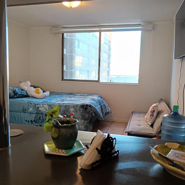 Central Departamento para familia friends y amigos - One-Bedroom Apartment - 40