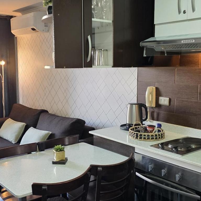 Apartamento con Vista a la Cordillera y Estacionamiento en Santiago Centro Modern apartment with mountain view and parking in Santiago Centre - One-Bedroom Apartment with Balcony and Mountain View - 24