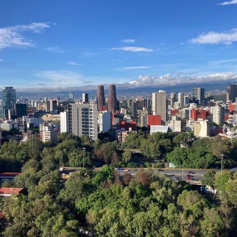Polanco be grand - Apartamento de 2 dormitorios - 14
