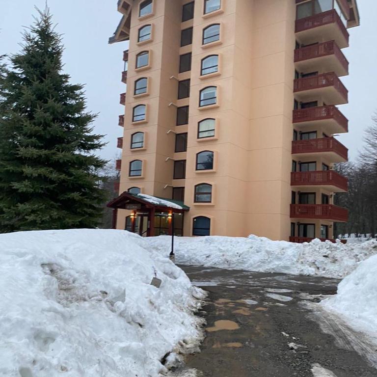 Departamento en Las Termas de Chillán - Apartamento de 2 dormitorios - 10