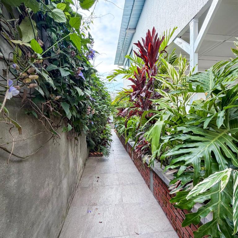 Apartamento cerca al Parque del Café, Eje Cafetero - Apartamento de 2 dormitorios - 13