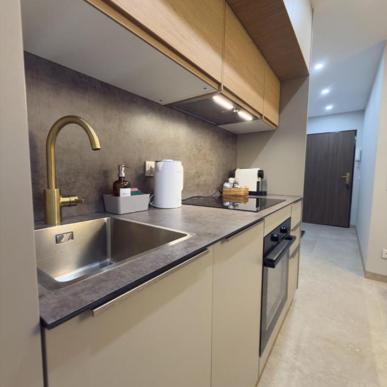 Modern apartment with alpine charm in Bad Gastein - Apartment mit 2 Schlafzimmern - 8