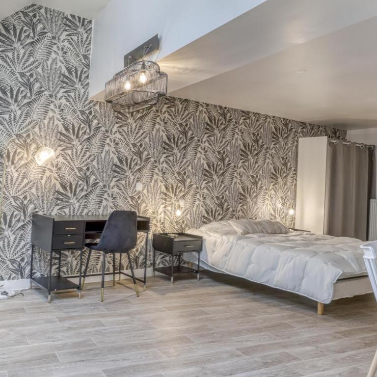 Colivi Suite Spacieuse 45m2 Gare Annemasse - Studio Lit Queen-Size de Luxe - 5