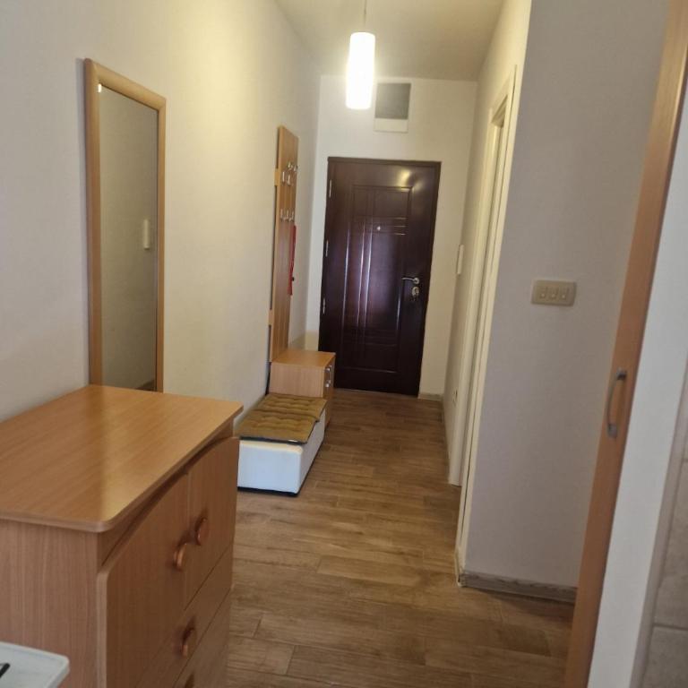Sunny Side Up Apartment - One-Bedroom Apartment - 3