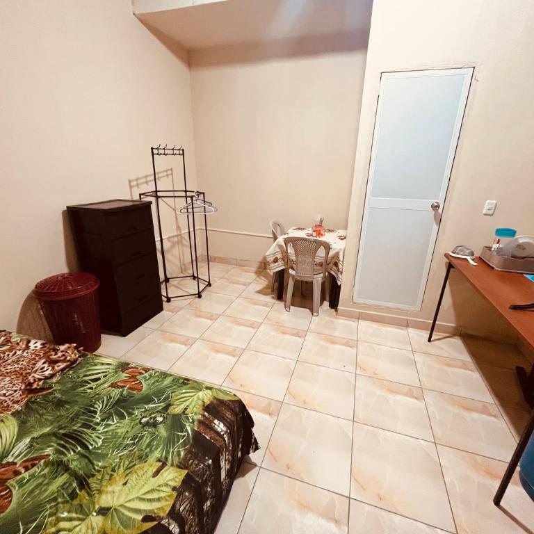 Apt 3 - One-Bedroom Apartment - 2