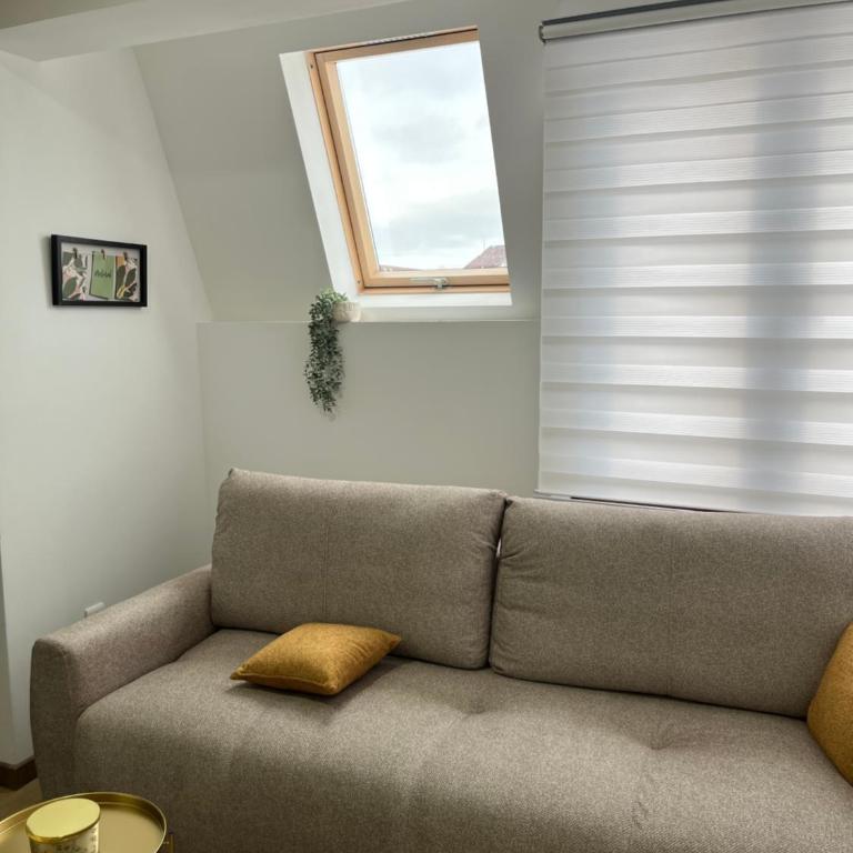 MILI LUx - One-Bedroom Apartment - 3