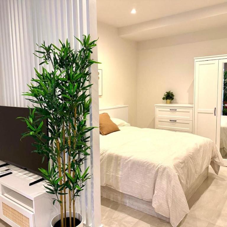 Apartamentos Almogavares Las Rosas - Apartamento de 1 dormitorio - 2