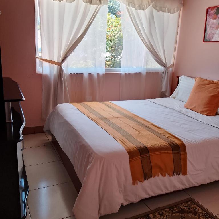 Hotel el Parque Tababela - Single Room with Garden View - 7