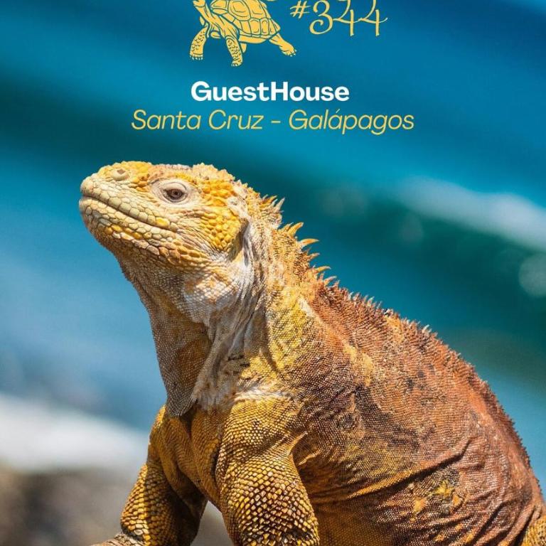 #4 Mini Suite Cerca de todo, Entrada Privada - AC - Apartamento de 1 dormitorio - 12