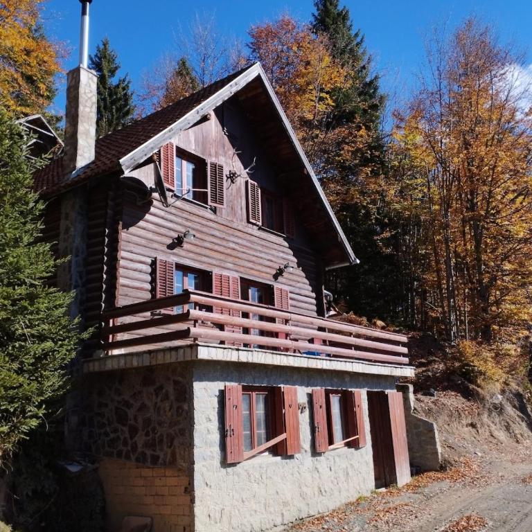 Mountain home Borut - Three-Bedroom Chalet - 1