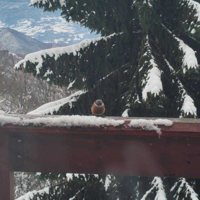 Mountain home Borut - Three-Bedroom Chalet - 5
