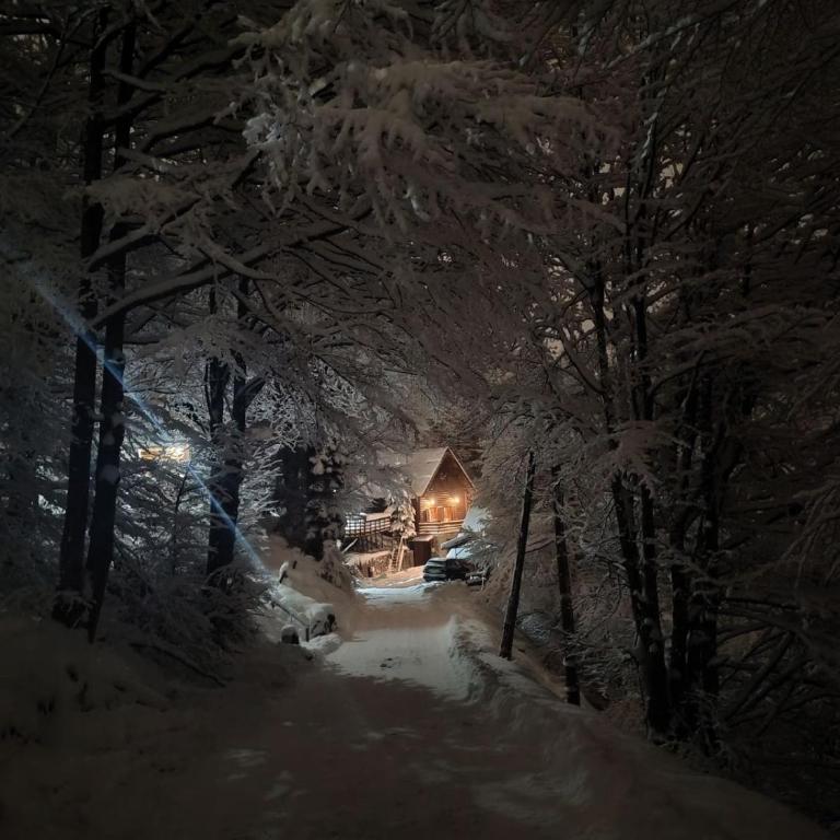 Mountain home Borut - Three-Bedroom Chalet - 7